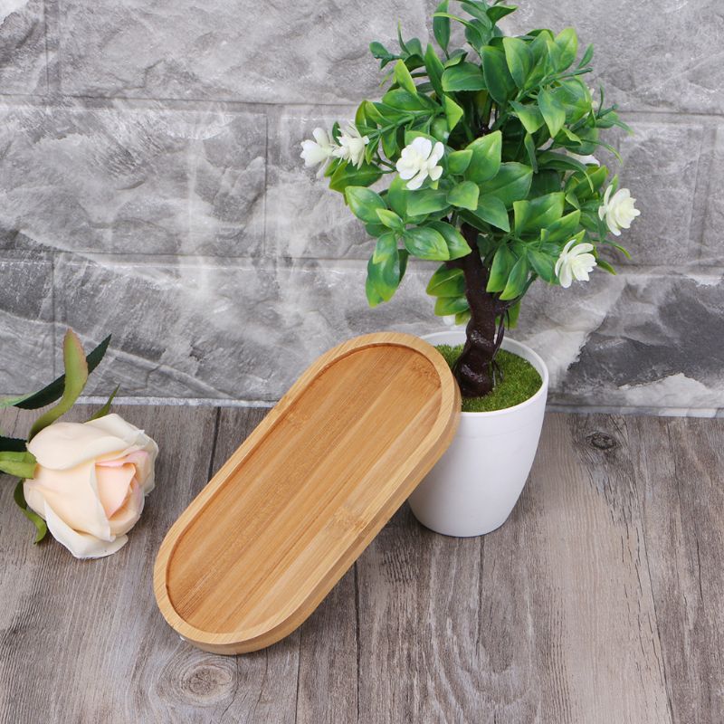 Oval Shape Bamboo Wood Saucer Plant Tray Mini Plant Flower Pot Stand Favor Succulent Pot Tray Simple Elegant Design