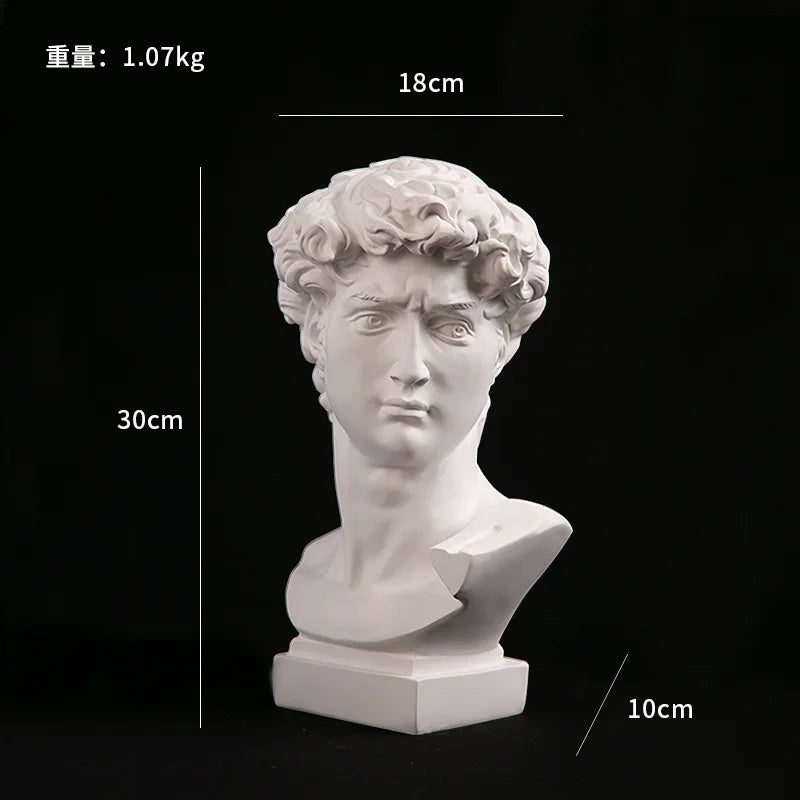 Classical David Bust Sculpture - image 7
