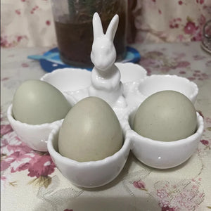 Ceramic Bunny Egg Tray - thumbnail 4